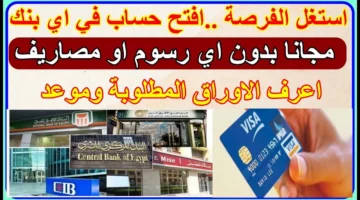 غدًا.. البنوك تتيح فتح الحسابات مجانًا حتى 15 ديسمبر